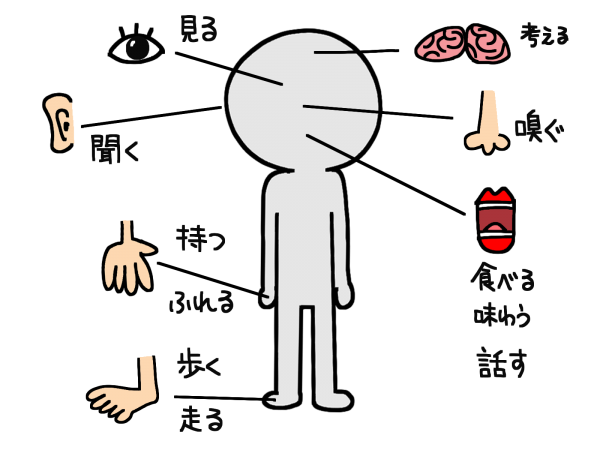 新ウィンドラス機構の概要