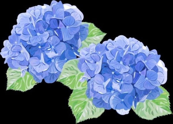 【巻き爪が治せない整骨院は、もう“選ばれない”】